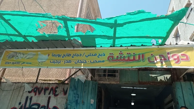 دواجن النتشة