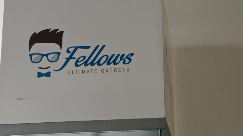 Fellows