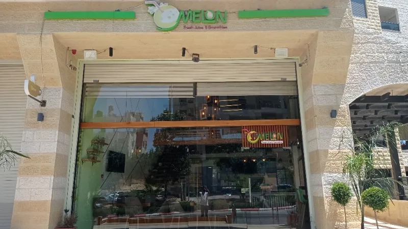 Melon fresh juice and smoothies