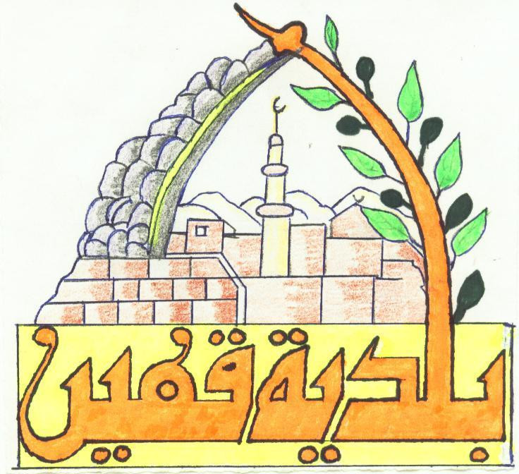بلدية قفين