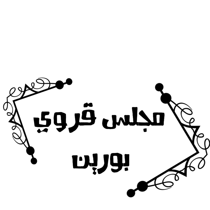 مجلس قروي بورين