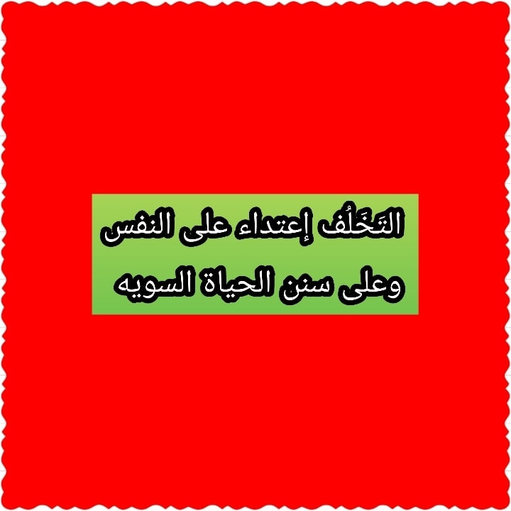 مدرسة وروضة عمار بن ياسر