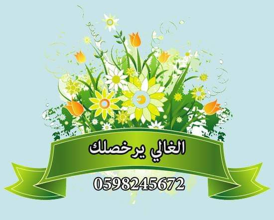 محل الغالي يرخصلك