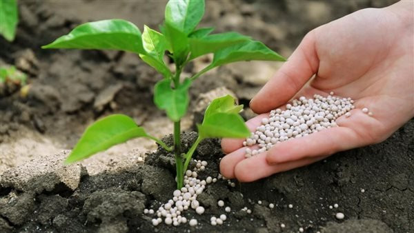 محلات التعاون للمواد الزراعية