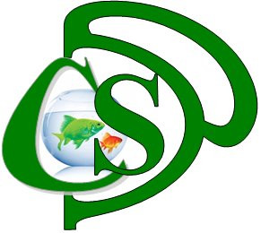 Partners in Creative Solutions (PCS)