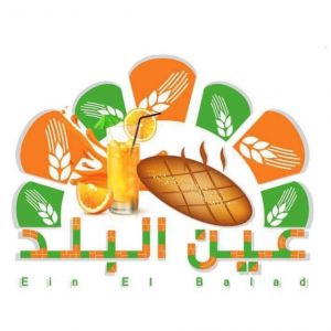عين البلد