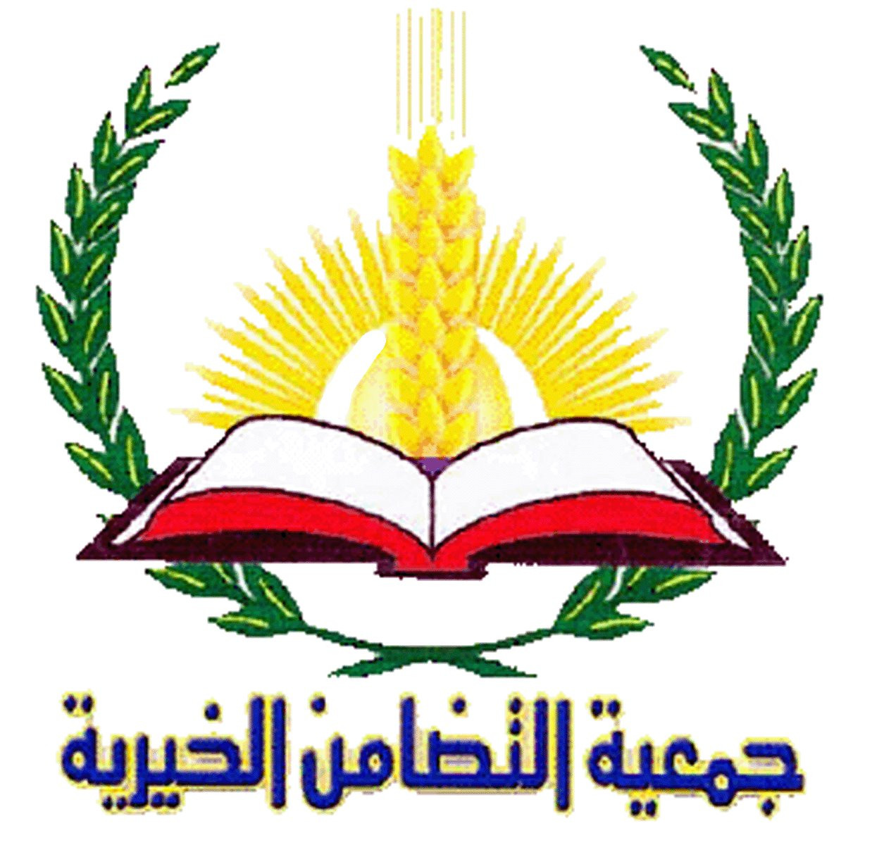جمعية التضامن الخيرية