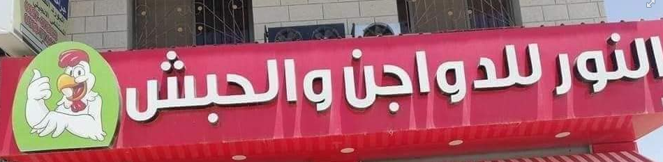 محل النور للدواجن