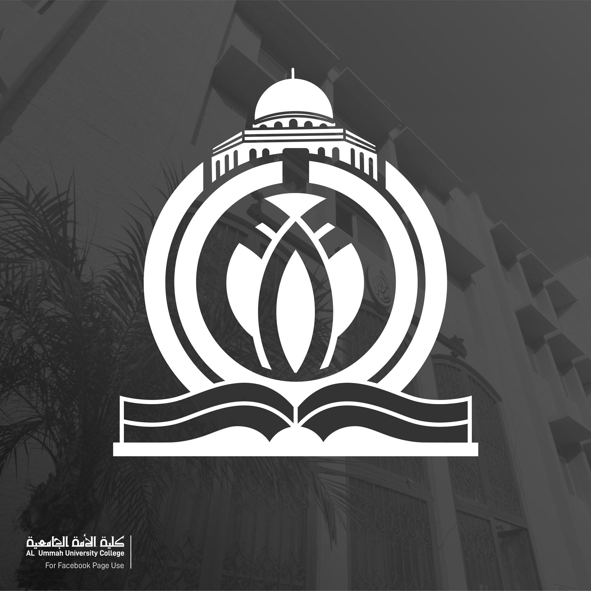 كلية الامة الجامعية