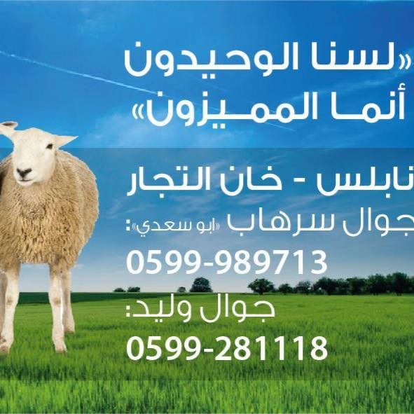 ملحمة ابو زنط