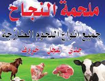 ملحمة النجاح