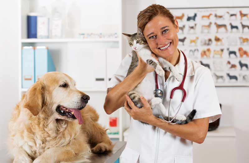 مركز العلاجات البيطرية