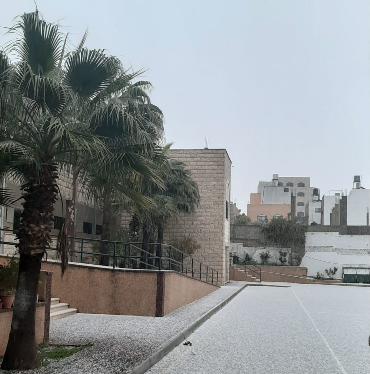 مدرسة بنات عقربا الاساسية