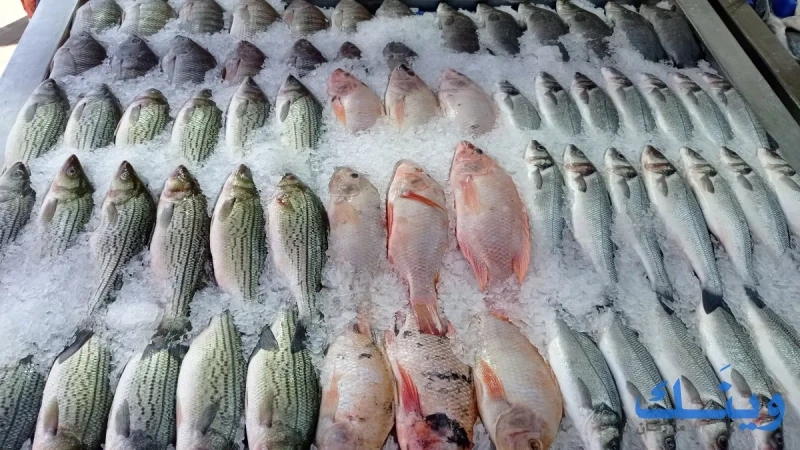 مسمكة البحار