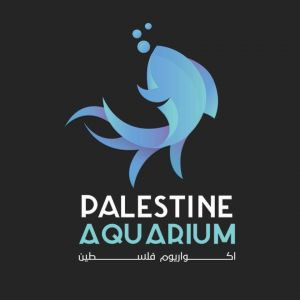 اكواريوم فلسطين