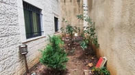 شقه - غير مفروشه - للايجار