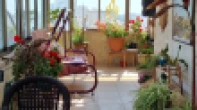 رووف - مفروشه - للايجار