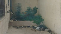 شقه - غير مفروشه - للبيع