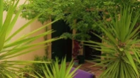 منزل منفصل - مفروشه - للبيع