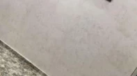 شقه - مفروشه - للبيع