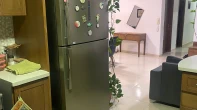 شقه - مفروشه - للايجار
