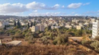 شقه - مفروشه - للبيع