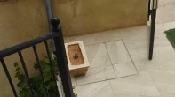 شقه - غير مفروشه - للبيع