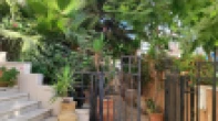 شقه - مفروشه - للايجار