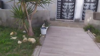 منزل منفصل - مفروشه - للايجار