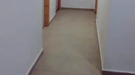  -  - 