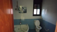  -  - 