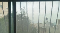 شقه - مشطب - للبيع