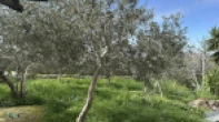 منزل منفصل - مشطب - للبيع
