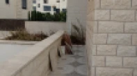 شقه - مفروشه - للبيع