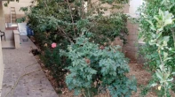 شقه - مفروشه - للايجار