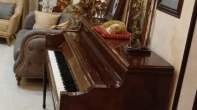 شقه - مشطب - للبيع
