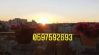 شقه - مفروشه - للبيع