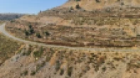 شقه - مشطب - للبيع