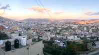 شقه - مشطب - للبيع