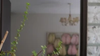 شقه - غير مفروشه - للبيع