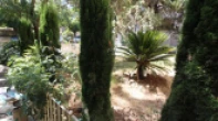 شقه - مفروشه - للايجار
