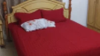 شقه - مفروشة - للايجار