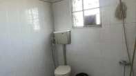 منزل منفصل - مفروشه - للبيع