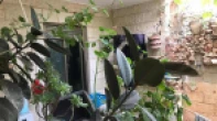 شقه - مفروشه - للبيع
