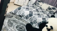 شقه - مفروشه - للبيع