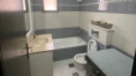 شقه - مفروشه - للايجار
