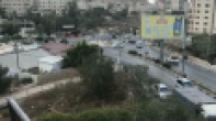 شقه - مشطب - للبيع