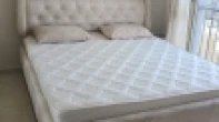  -  - 