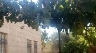منزل منفصل - مشطب - للبيع