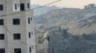 شقه - مشطب - للبيع